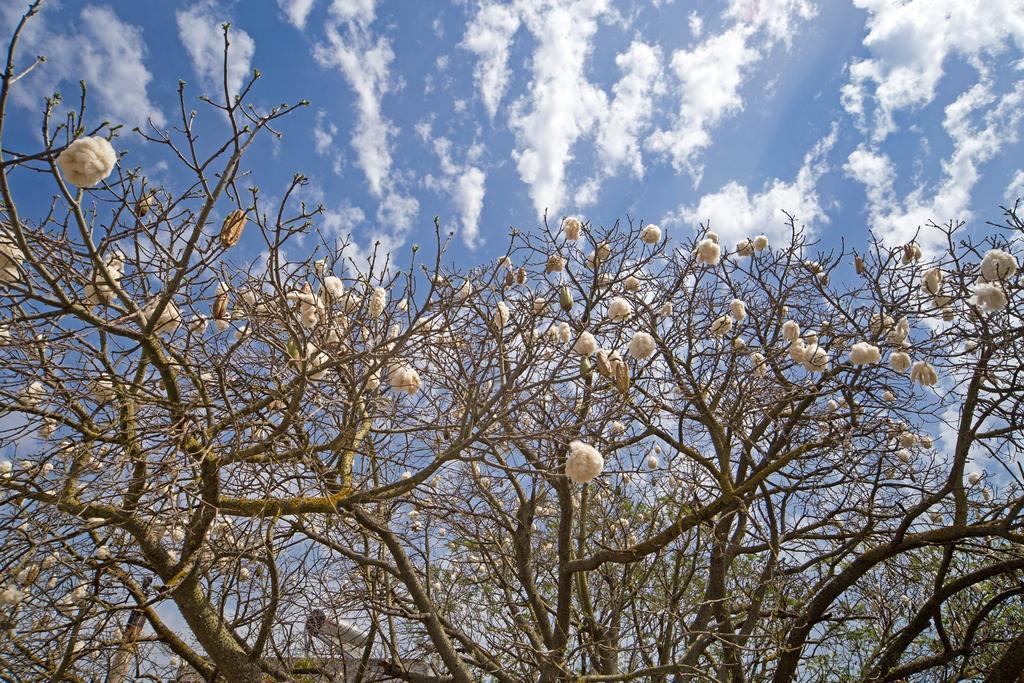 לינה וארוחת בוקר טביאנו Giardino Nascosto מראה חיצוני תמונה
